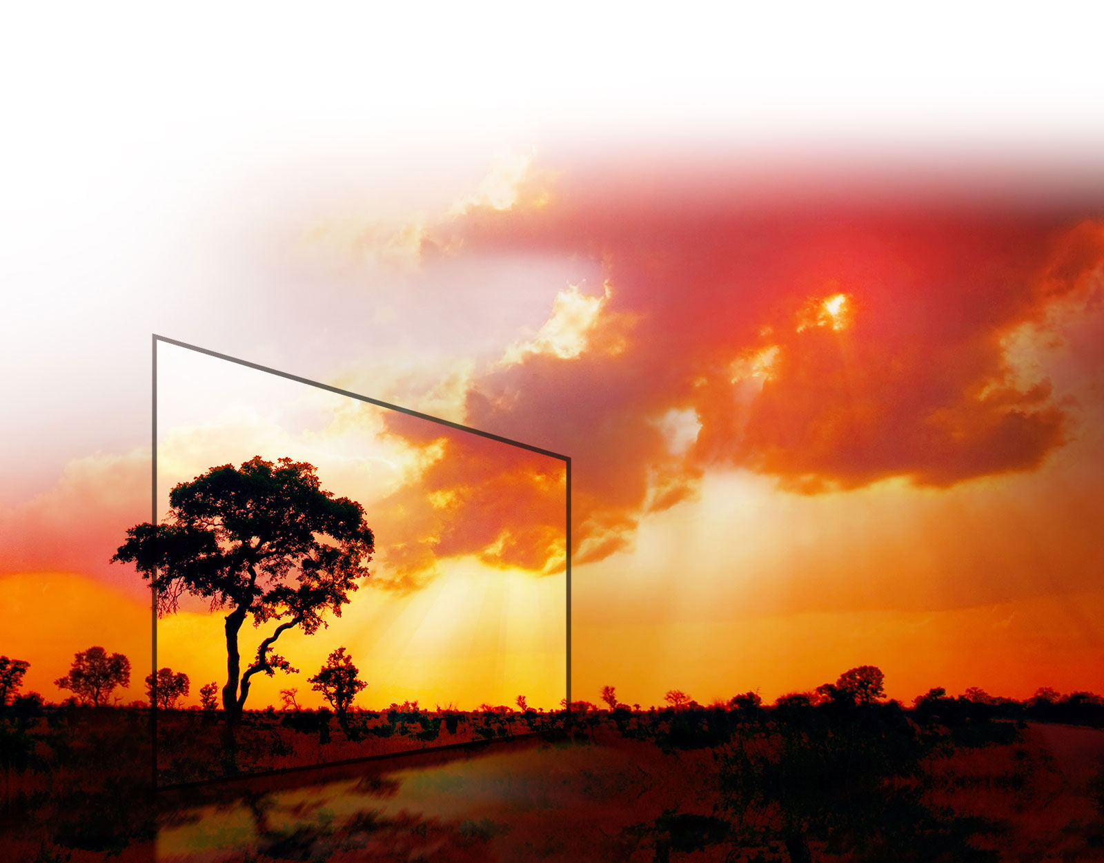 OLED TVs - Unmatched Color Realism