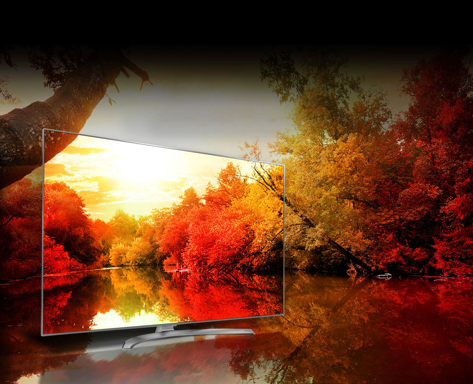 OLED TVs - Unmatched Color Realism