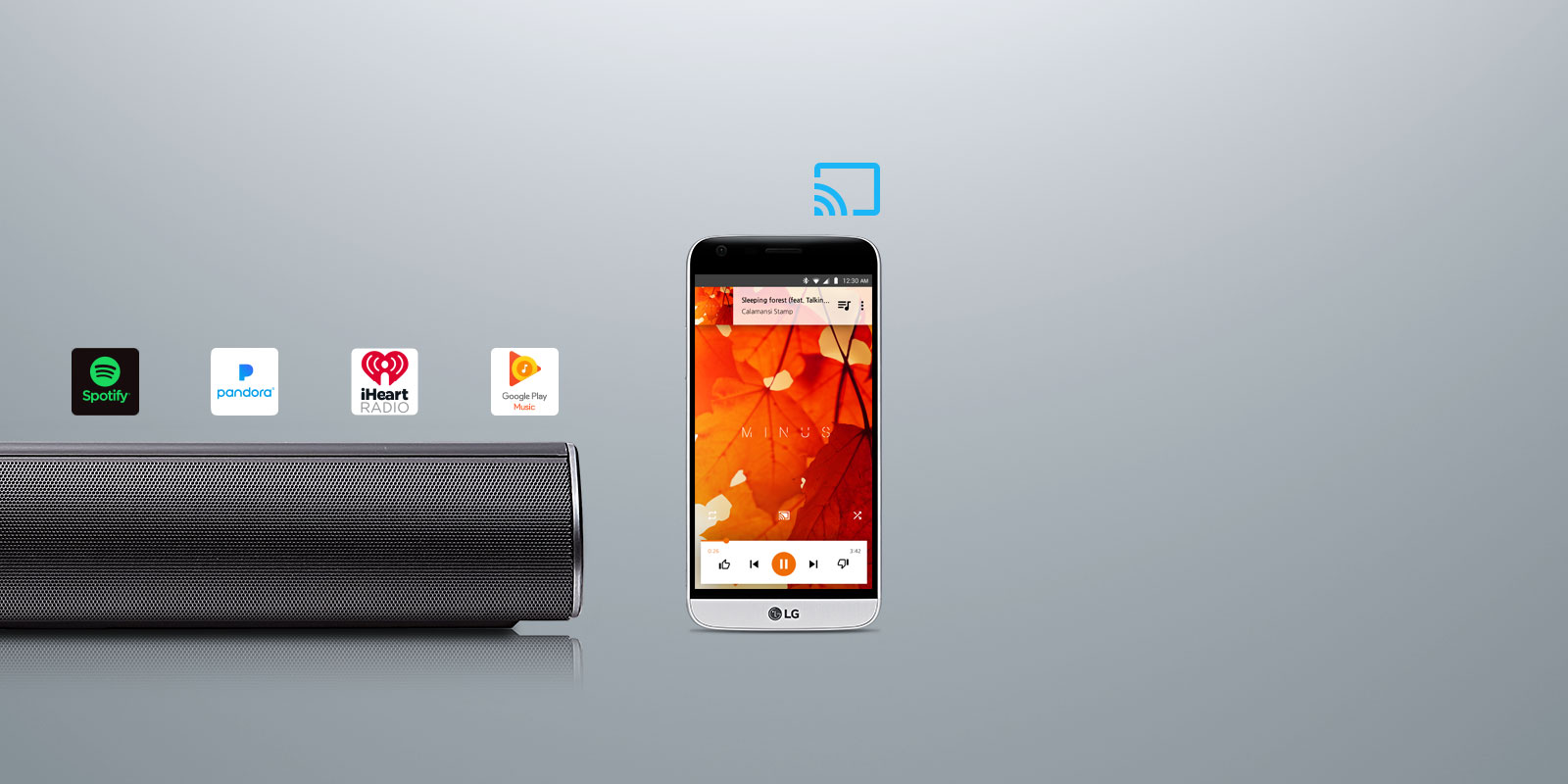 Chromecast Built-In