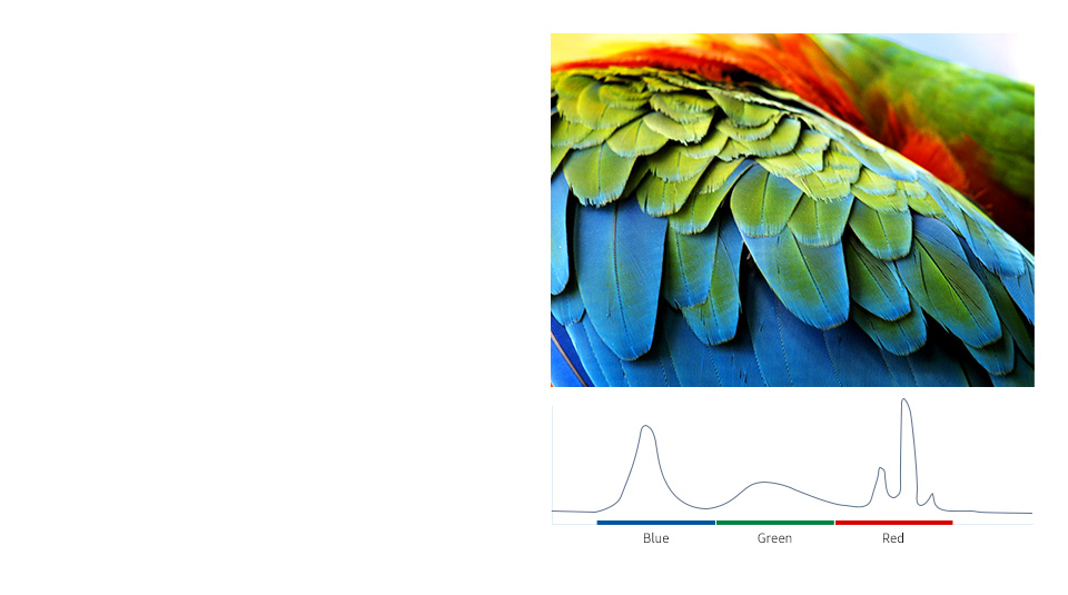Active Crystal Colour