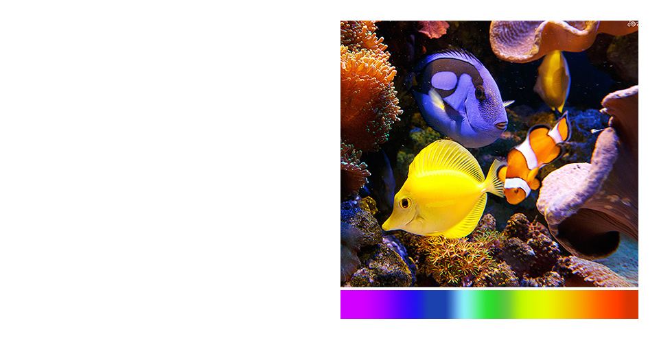 Quantum dot color