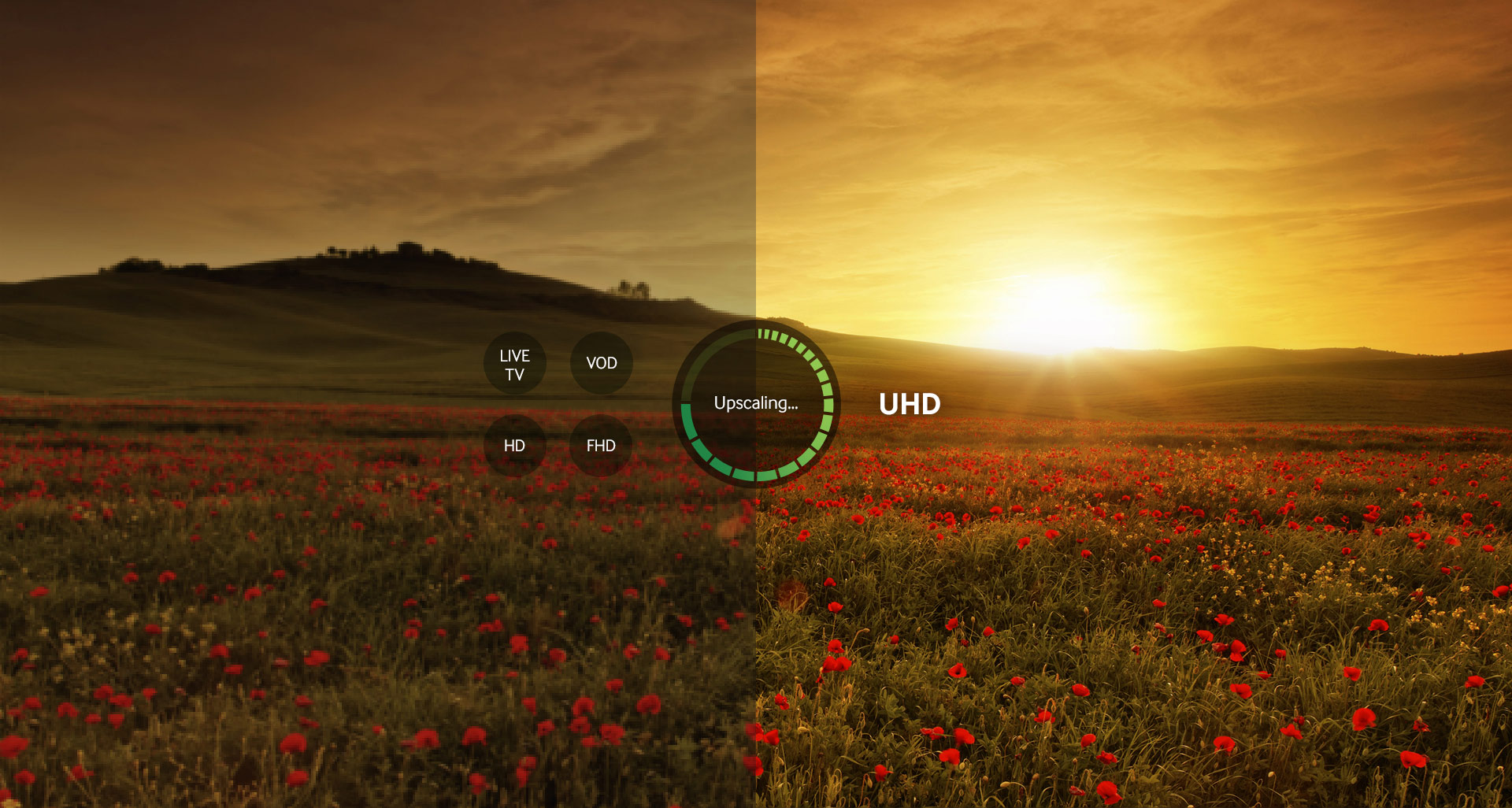 Upscale content for vivid image quality