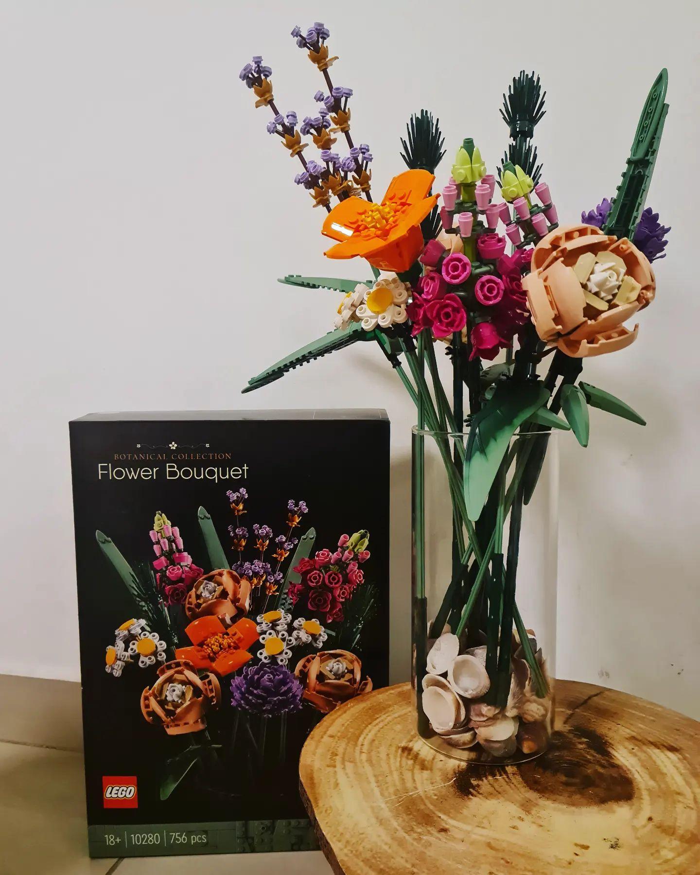 @cosetteheleneyoussef