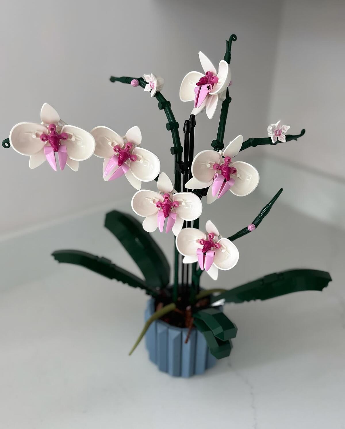 @mrs_shopaholic_davey