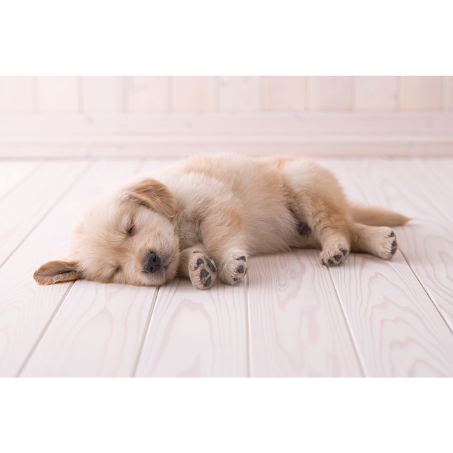 Gallery Image 3 of 3