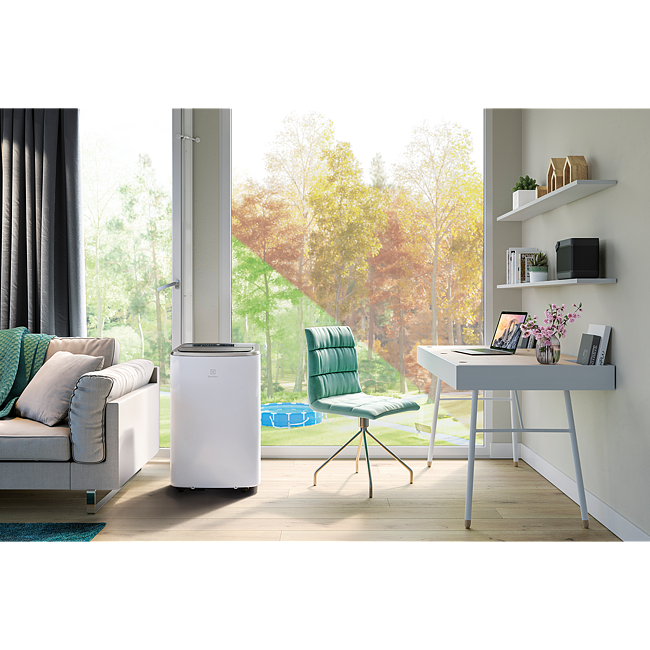 Gallery Image 4 of 10