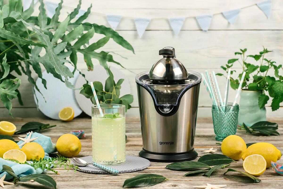 Gorenje citruseta CJ 100 HE | Sokovnici i citrusete | Mali kućanski aparati  | Kućanski aparati | eKupi.ba - Vaša Internet kupnja