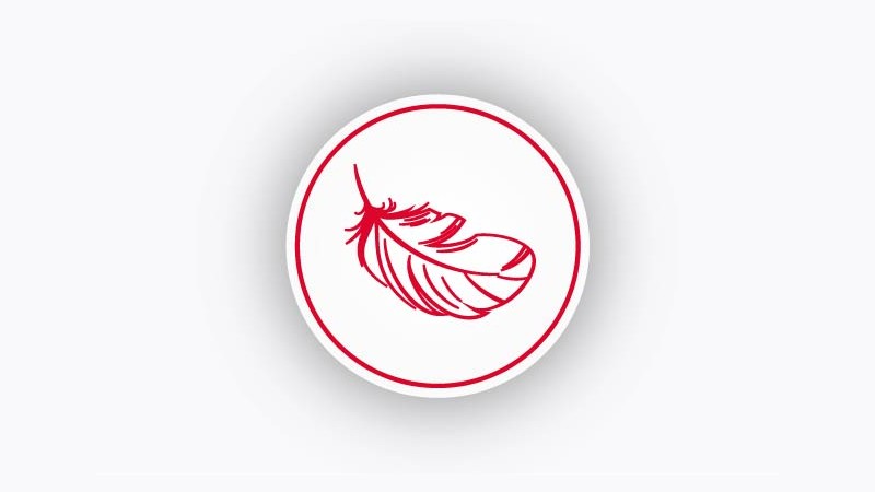 image logo