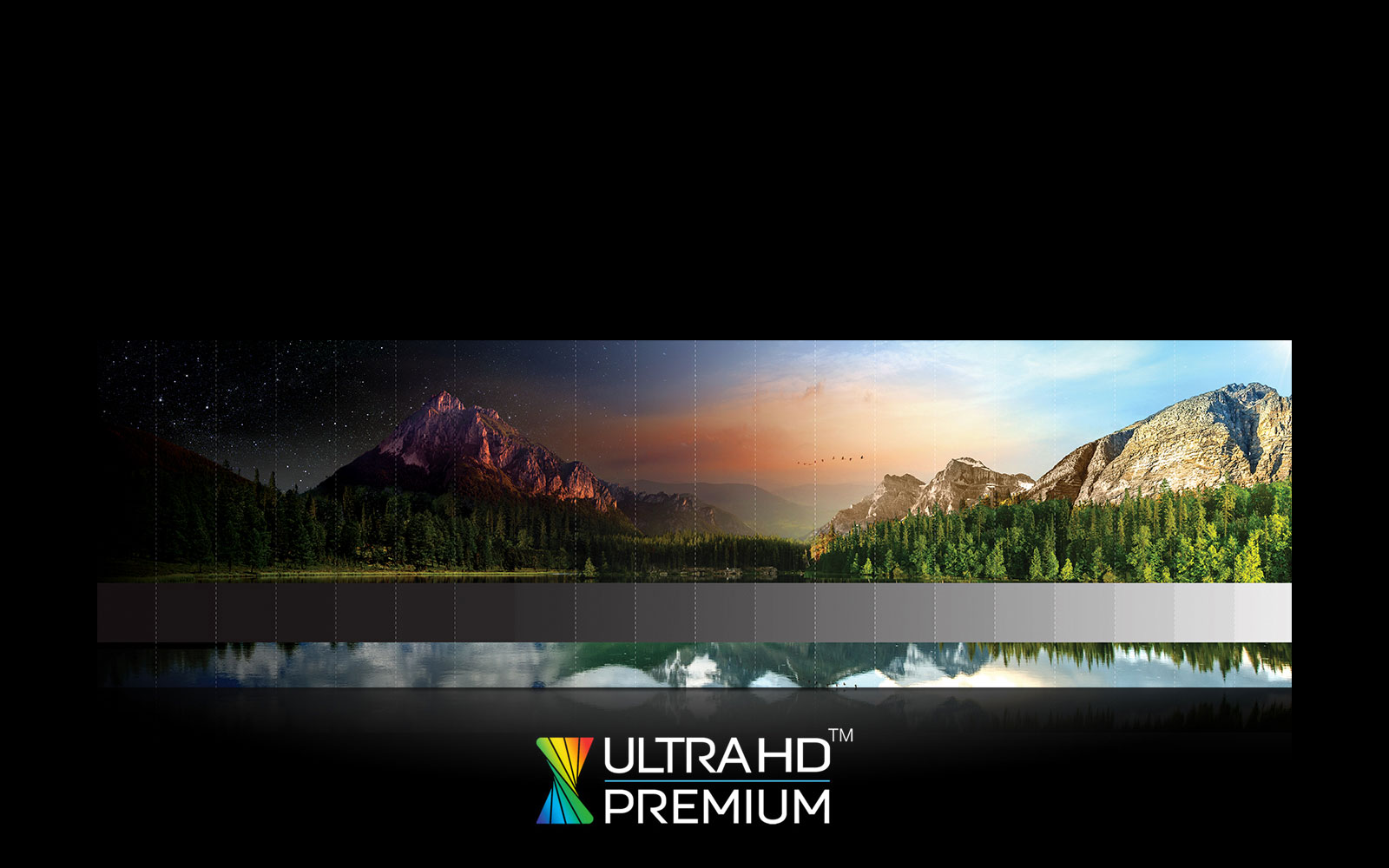 OLED TVs - Unmatched Color Realism