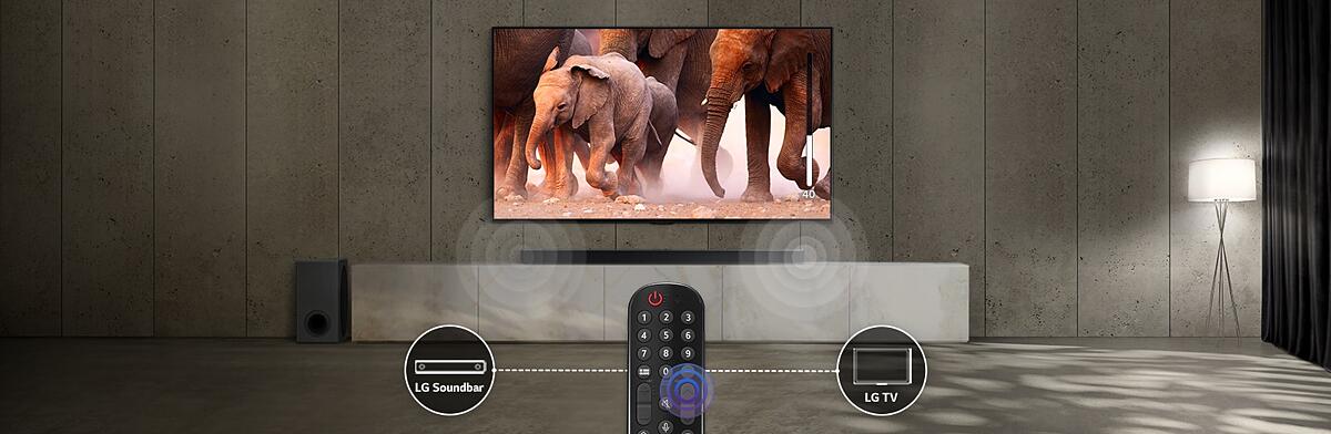 TV in a room with subtle lights shows images of elephants passing by. And there is a sound effect on the sound bar under the TV. At the bottom of the image, there is a TV remote control, and the sound