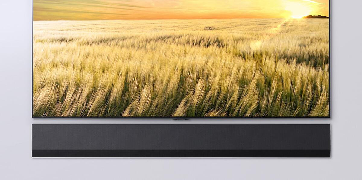 A front-facing view of a TV and Soundbar. The TV shows a field of reeds at sunset.