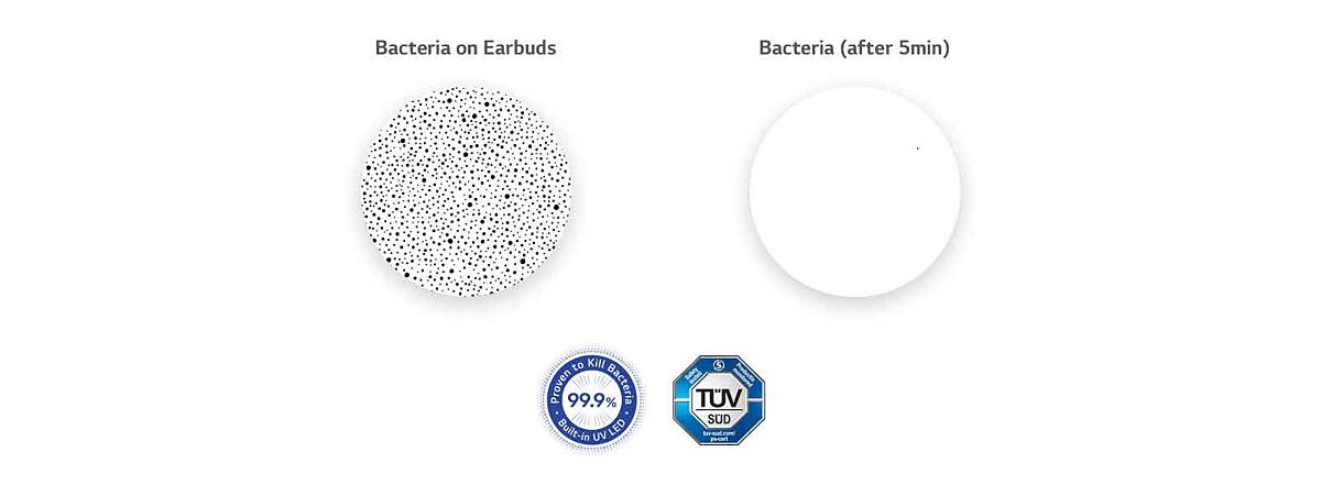 On the left is an enlarged image of the bacteria in the Earbuds, and on the right is a comparative image in which all of the bacteria have disappeared through UVnano.