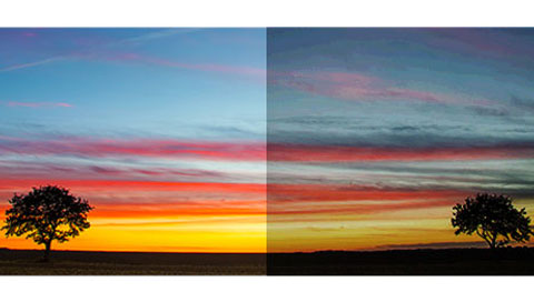 Billion Rich Colors<br>