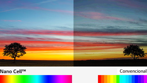 Mil millones de colores vivos<br>