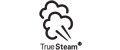 Truesteam®
