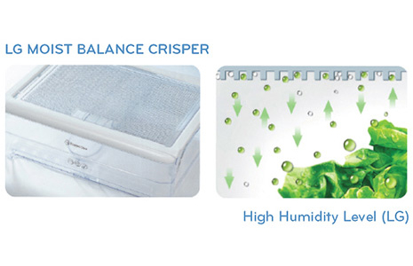 The Benefits of a Moist Balance Crisper™