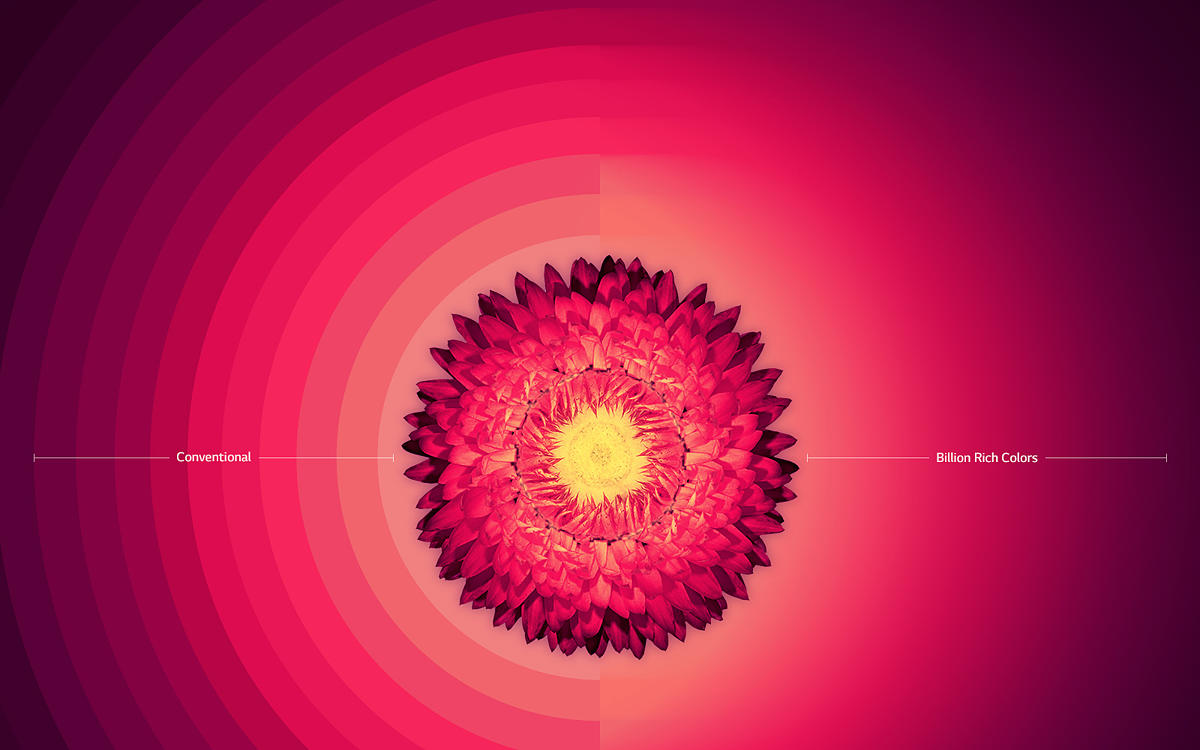 Billion Rich Colors