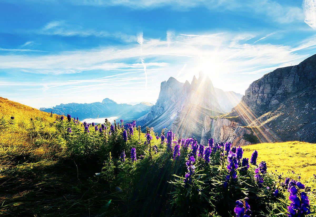Compatibilité avec de nombreux formats HDR