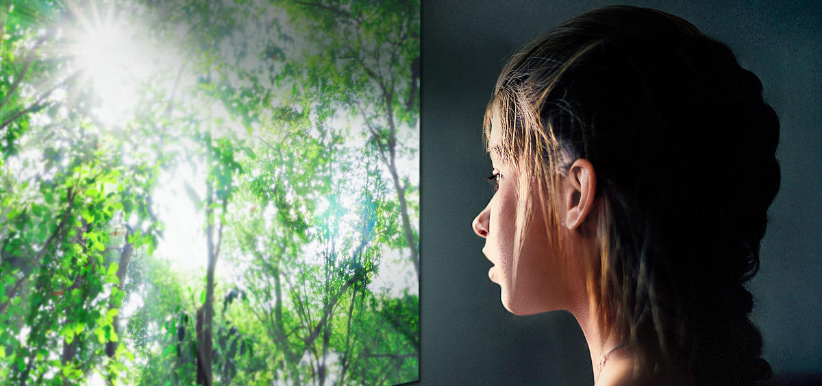 OLED TVs - Unmatched Color Realism