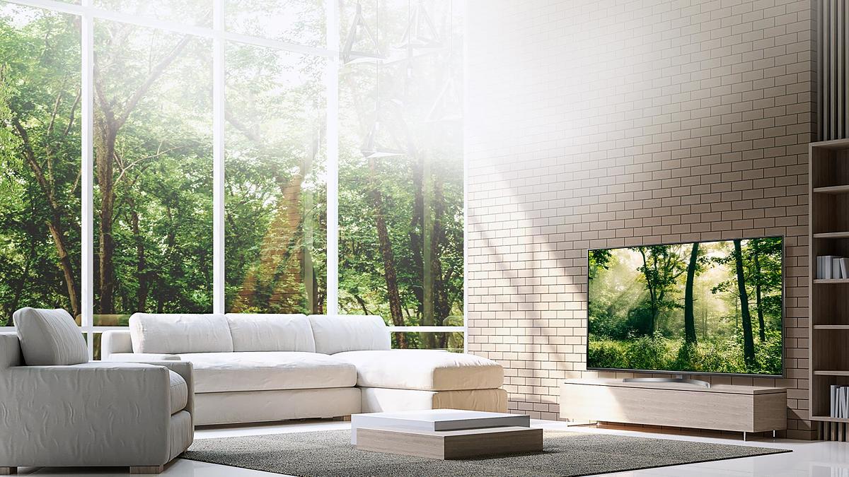 OLED TVs - Unmatched Color Realism