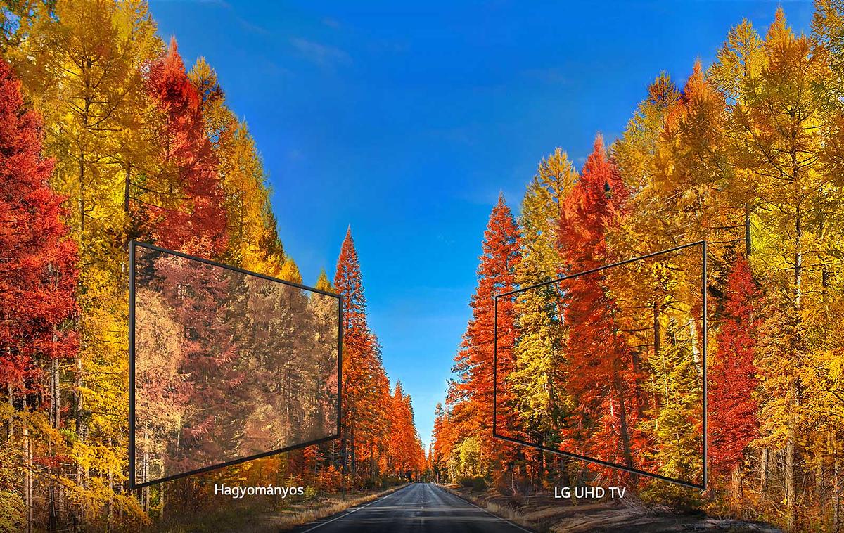 OLED TVs - Unmatched Color Realism