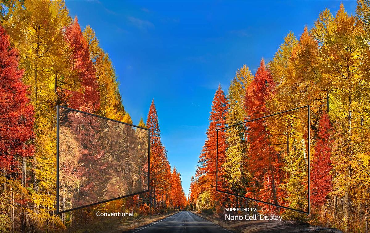 OLED TVs - Unmatched Color Realism