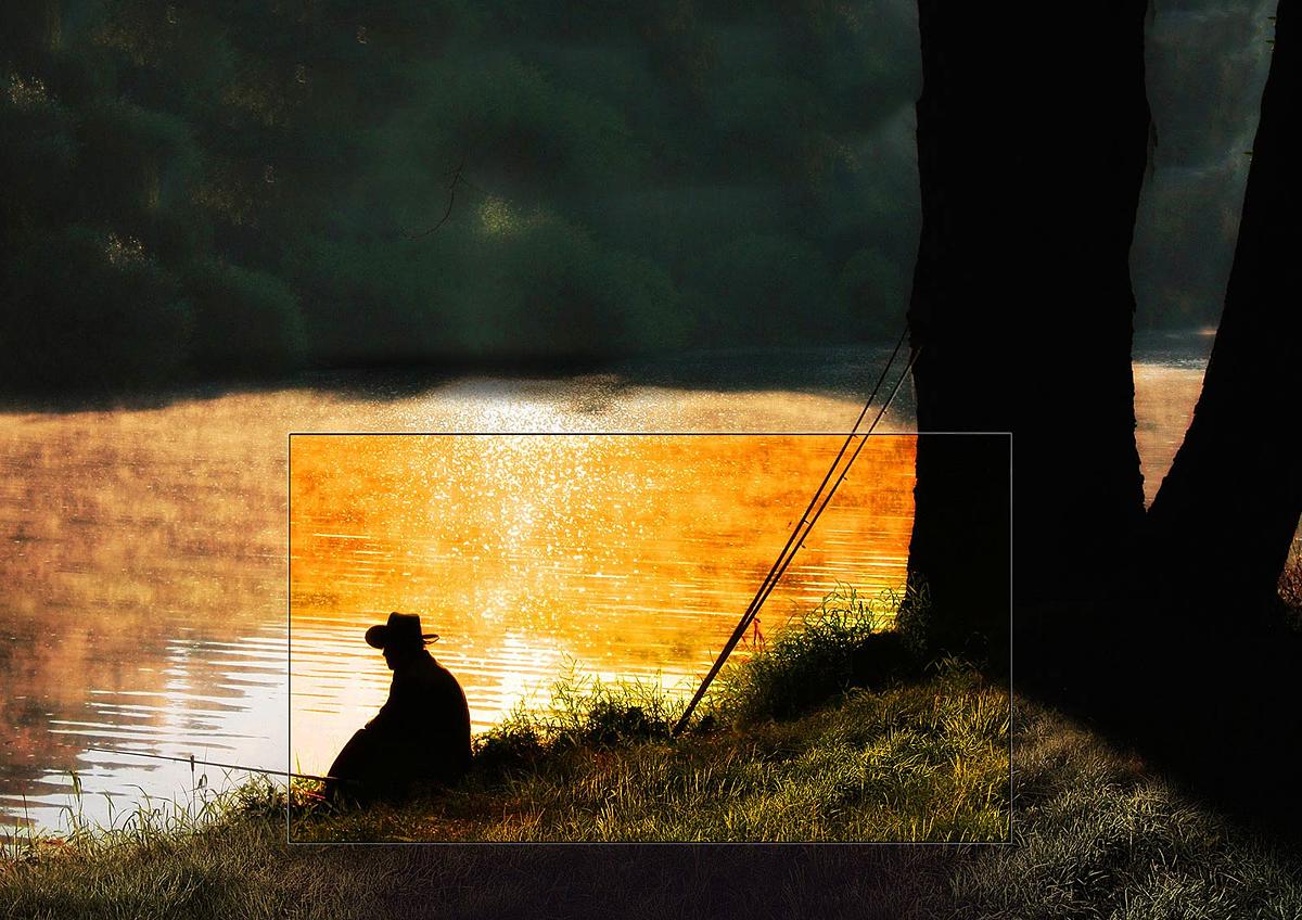 OLED TVs - Unmatched Color Realism