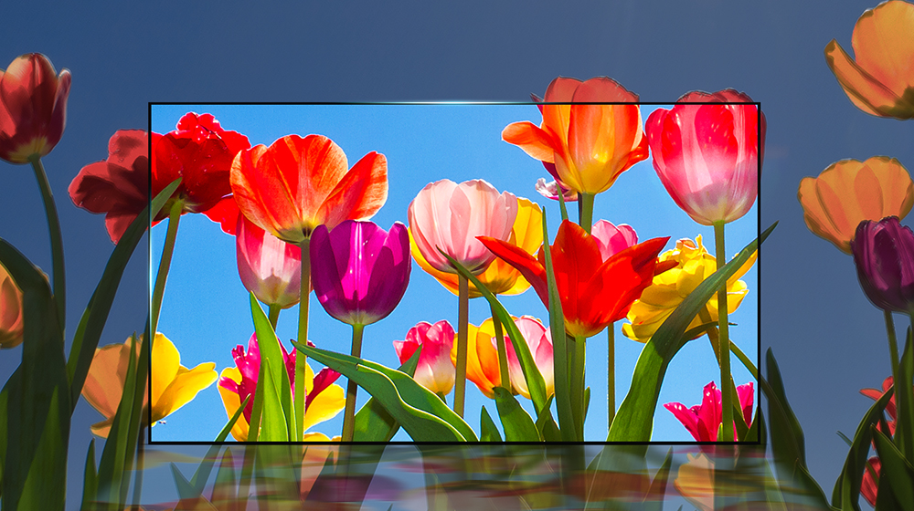 Реалистични цветове