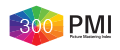 PMI 300