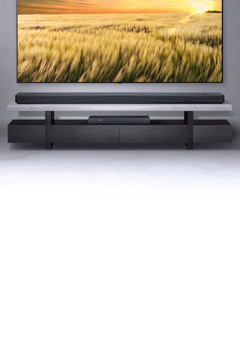 lg sl10yg wall mount