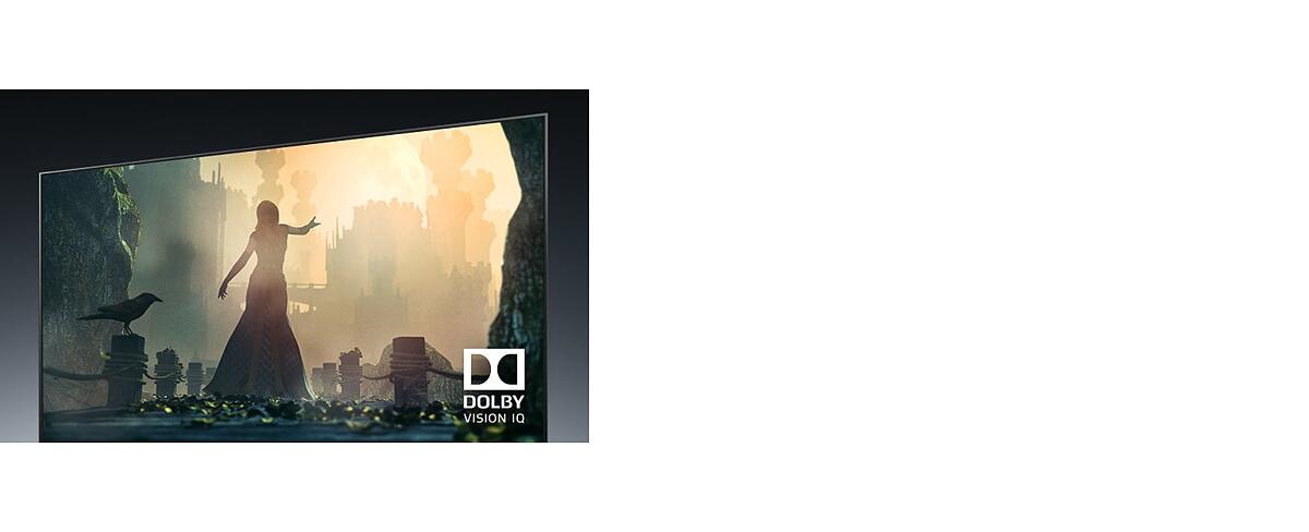 Dolby Vision IQ.