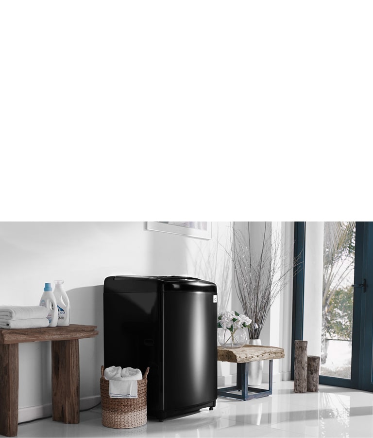 LG 21 kg Top Loader Washing Machine Makro