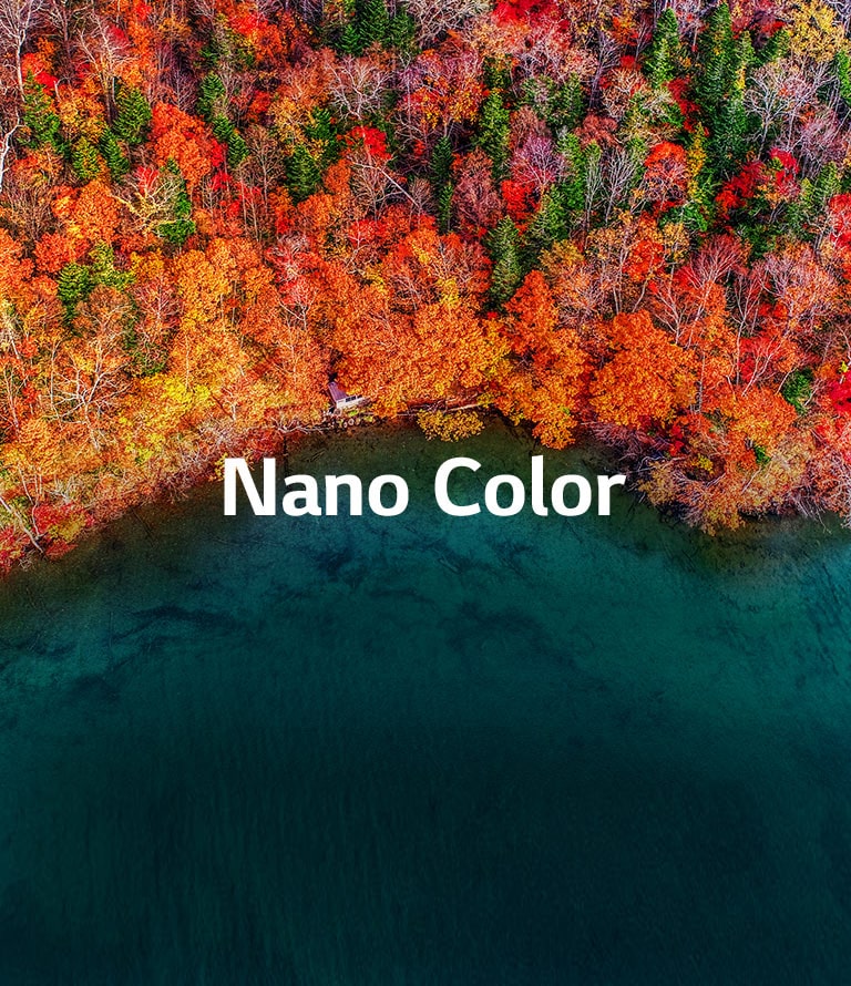 LG NanoCell TV 55 inch SM9000 Series NanoCell Display 4K HDR Smart LED