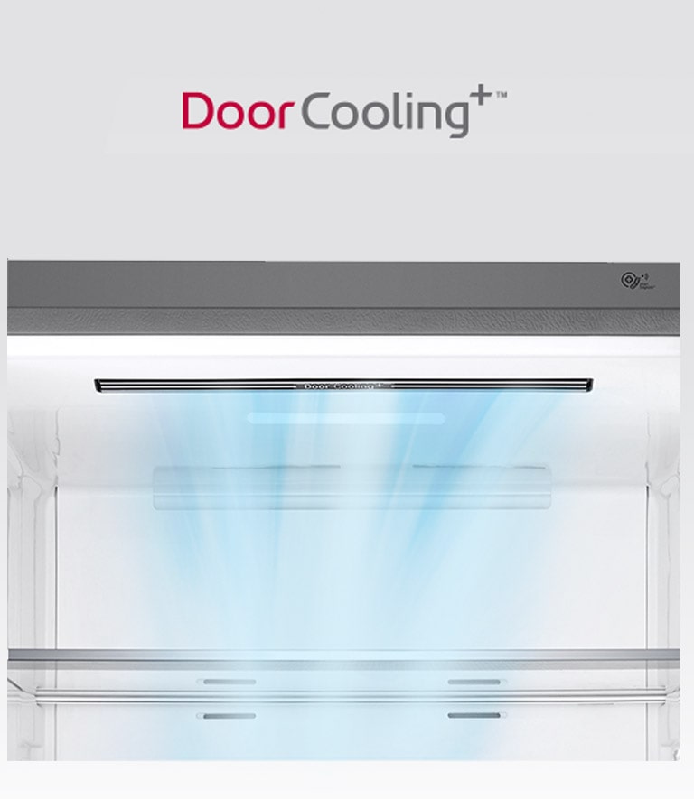 Refrigerador LG Bottom Freezer Universe Refresh com Moist Balance Cris