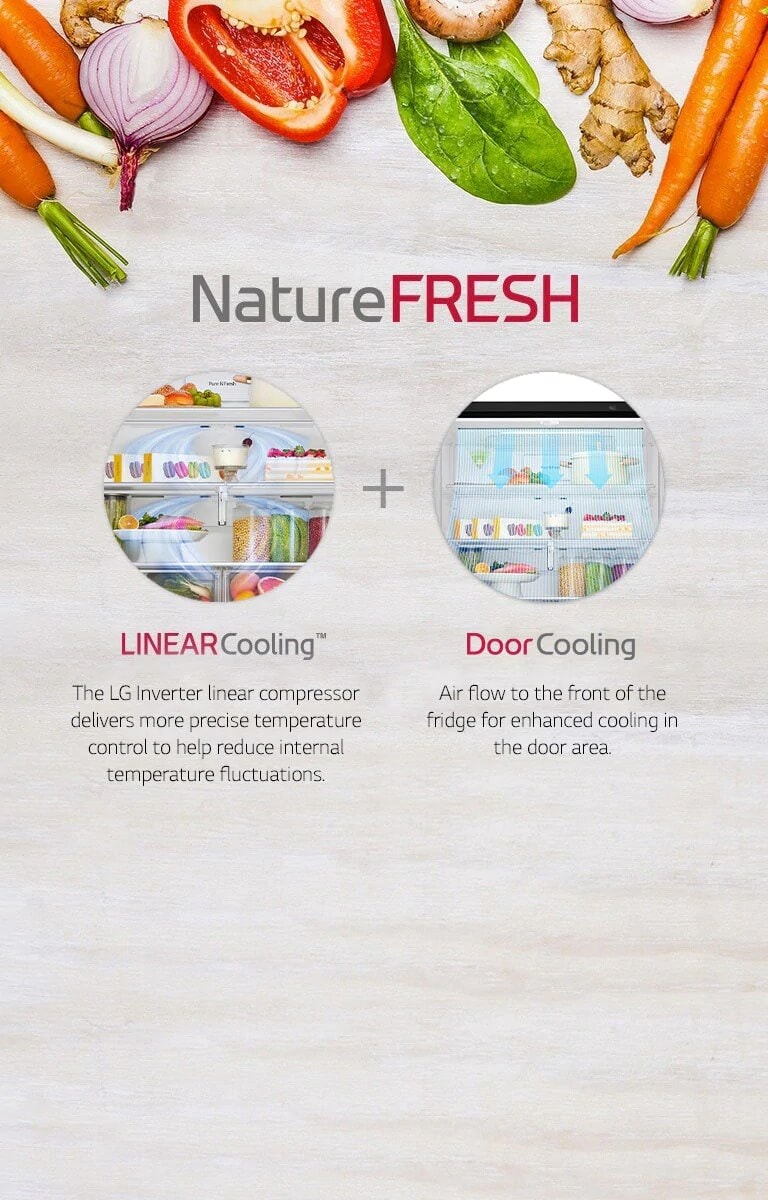 Lg Gcj22ftlpl Multi Door 4 Door Fridge Masons