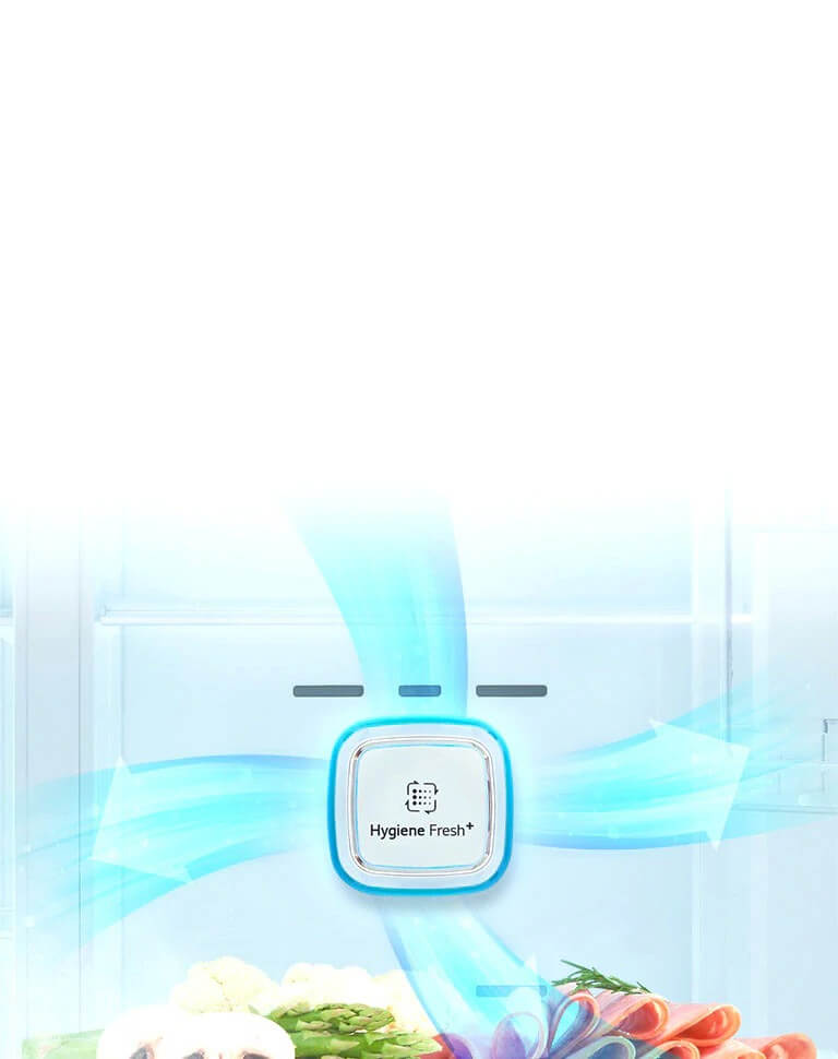 Lg Gcj22ftlpl Multi Door 4 Door Fridge Masons