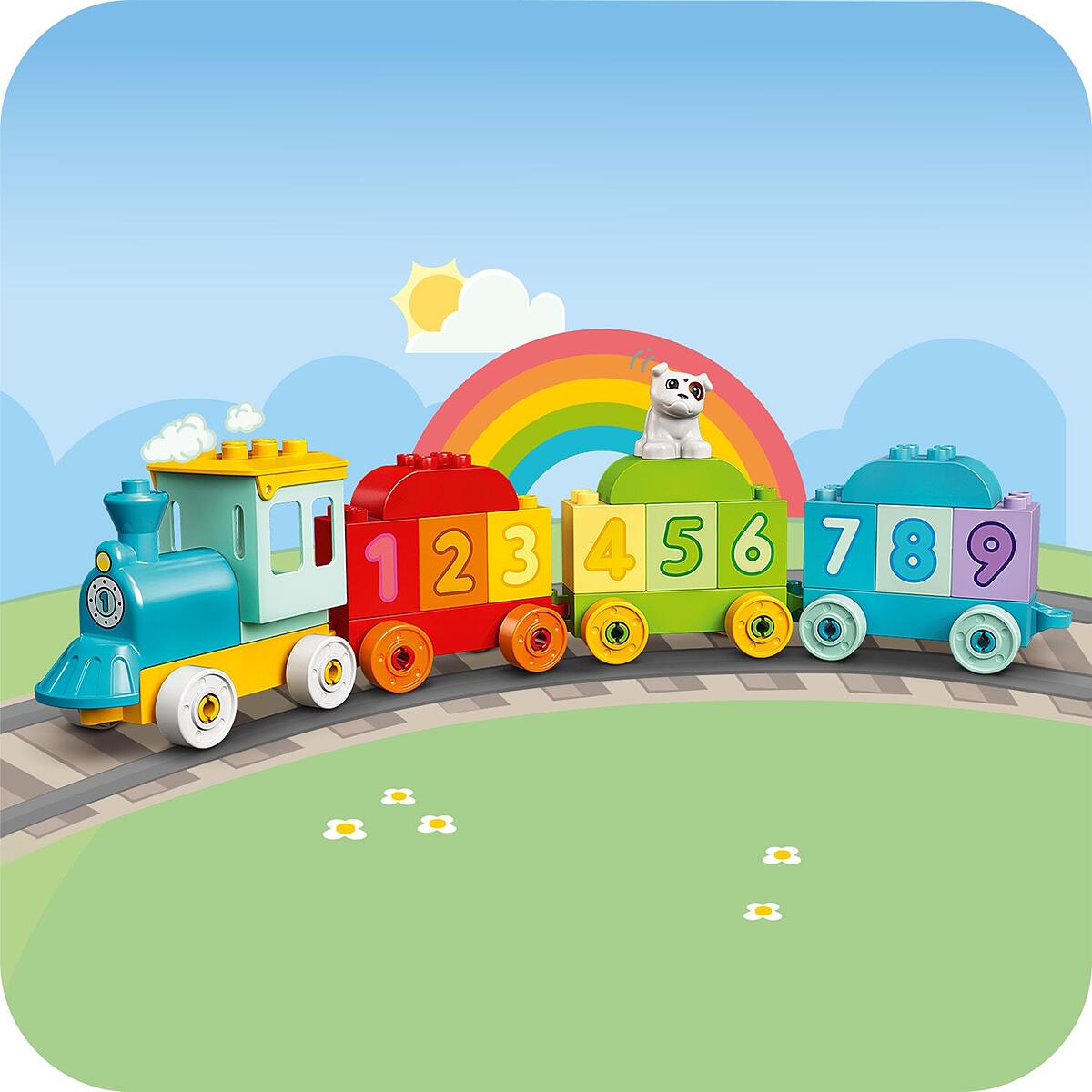 Colour-sorting fun