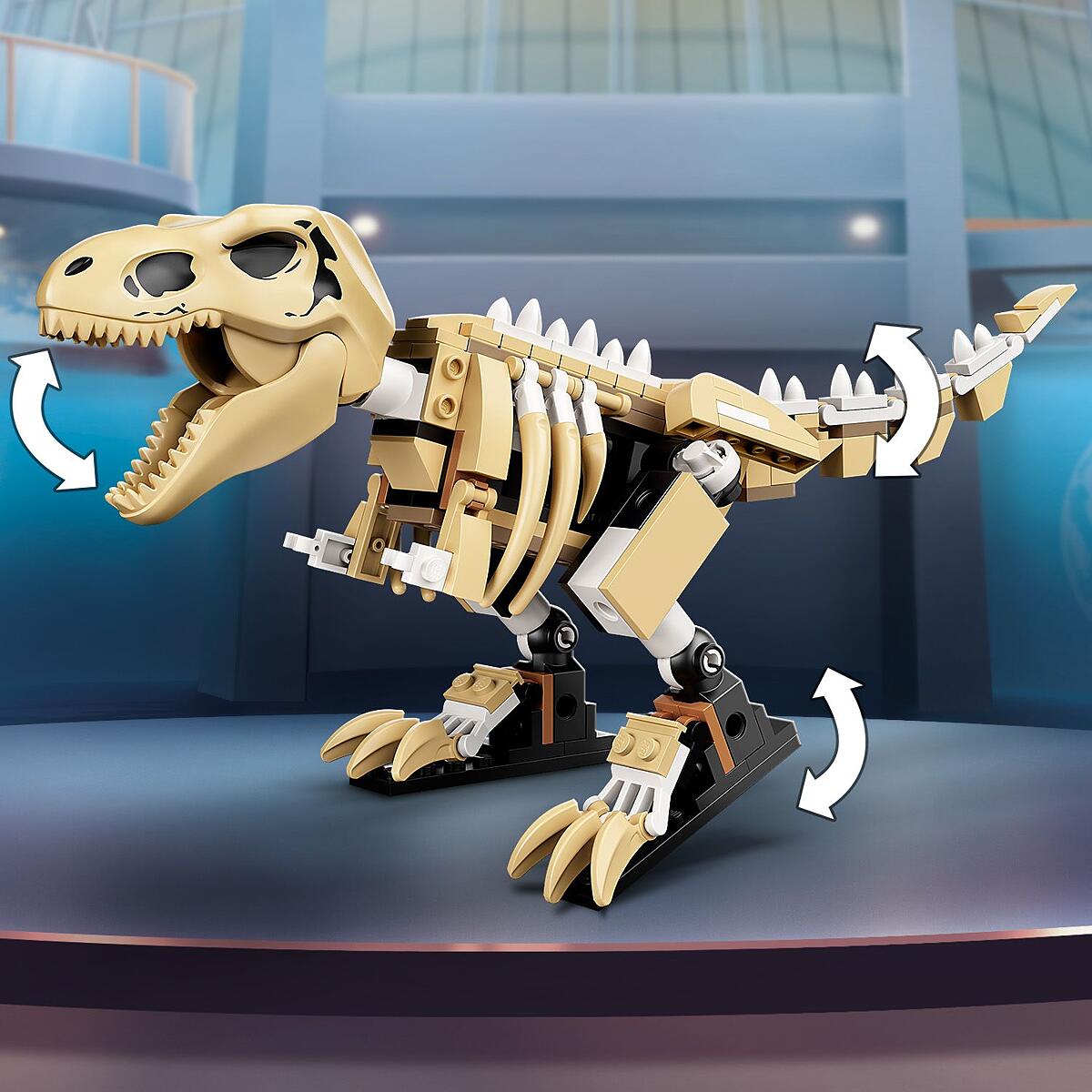 Posable T. rex skeleton