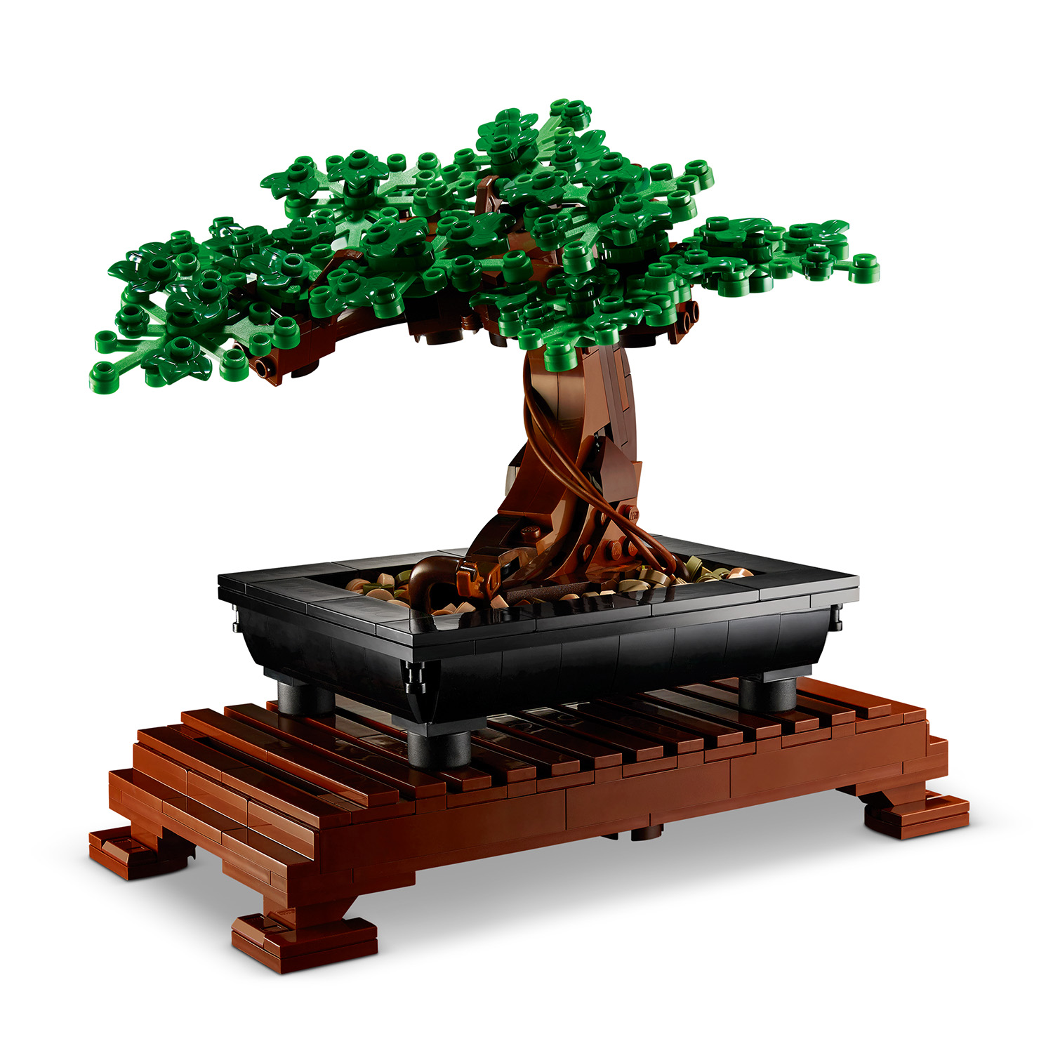 Bonsai Tree