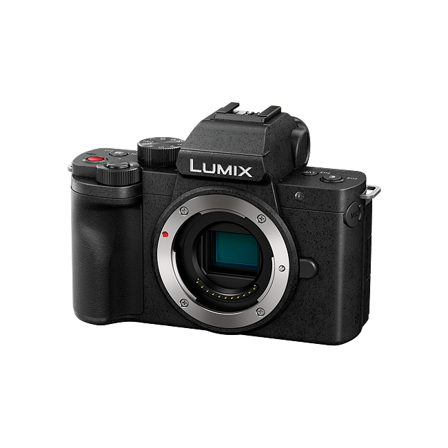 lumix-2020-g100-galleryimages-2-210129