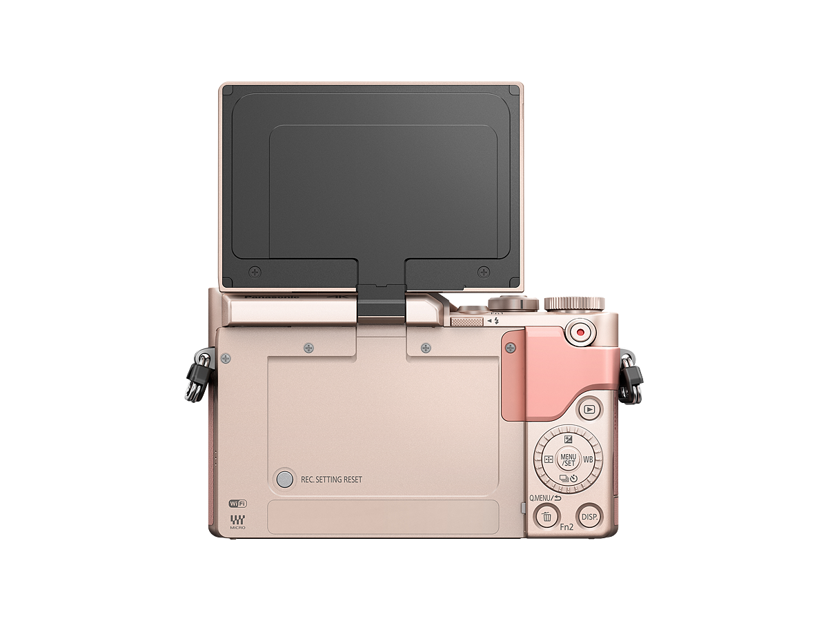 LUMIX Digital Single Lens Mirrorless Camera DCGF10K Pink