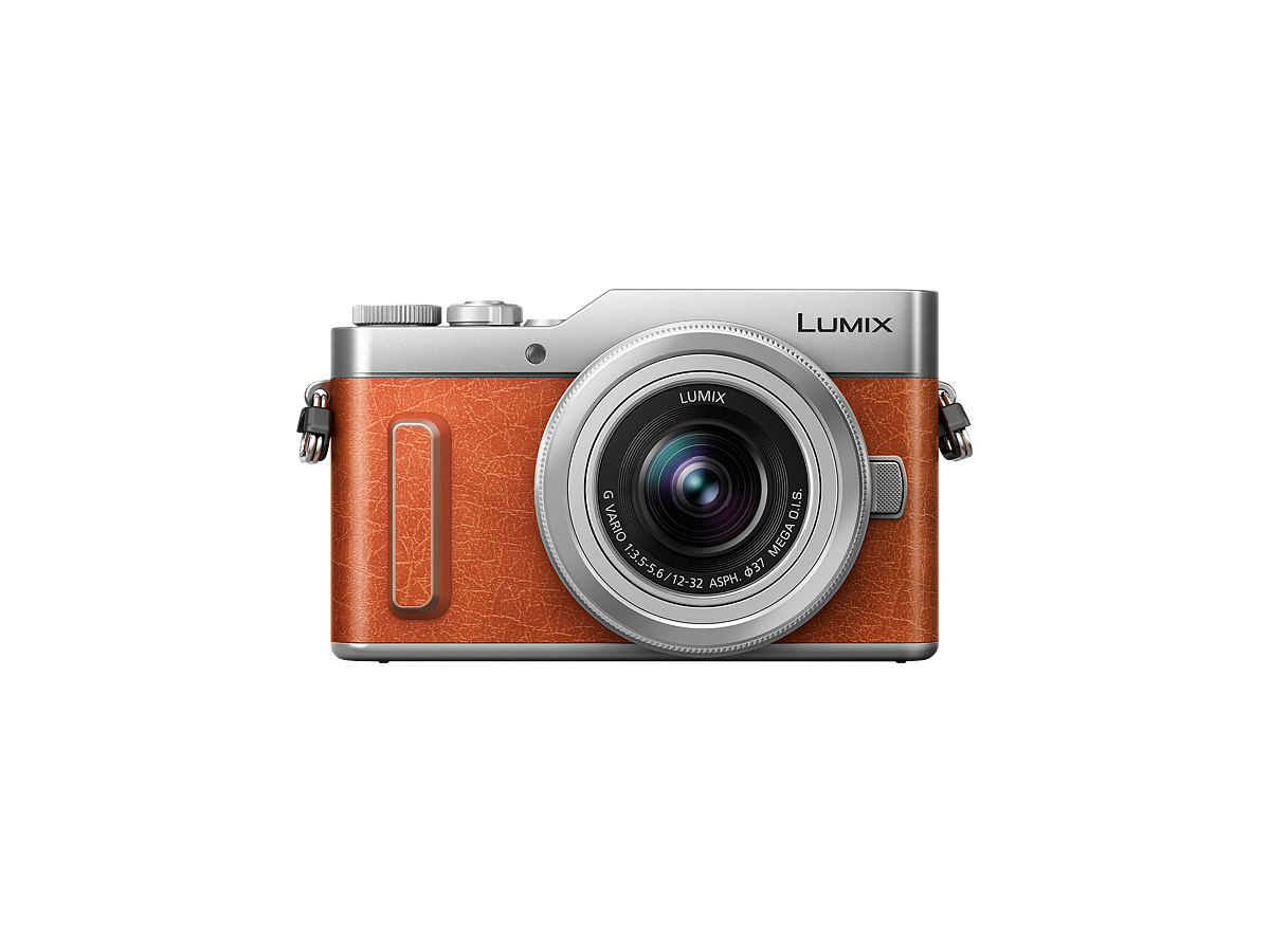 LUMIX Digital Single Lens Mirrorless Camera DCGF10K Pink