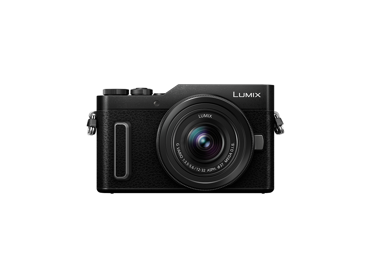 LUMIX Digital Single Lens Mirrorless Camera DCGF10K Pink