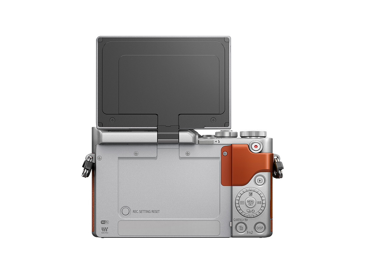 LUMIX Digital Single Lens Mirrorless Camera DCGF10K Pink