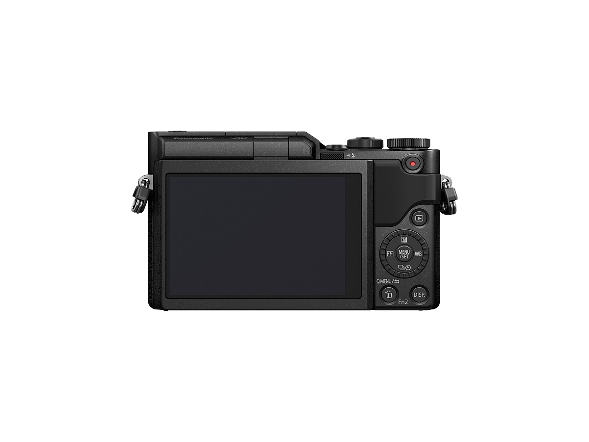 LUMIX Digital Single Lens Mirrorless Camera DCGF10K Pink