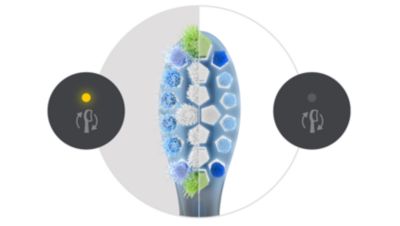 Keep brushing your best with the brush head replacement reminder