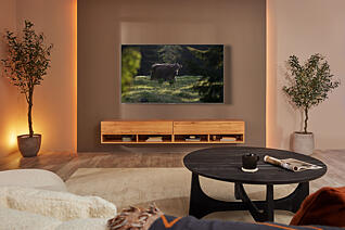 55 S95B QD-OLED 4K HDR Smart TV (2022) Lifestyle 4 16