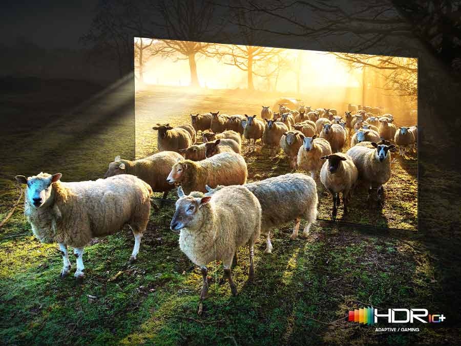 Neo Quantum HDR 8K Pro