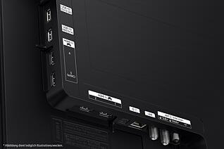 Gallery image 11 of 13