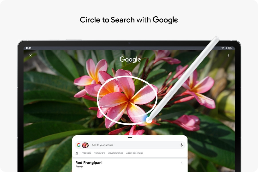 Circle to Search mit Google